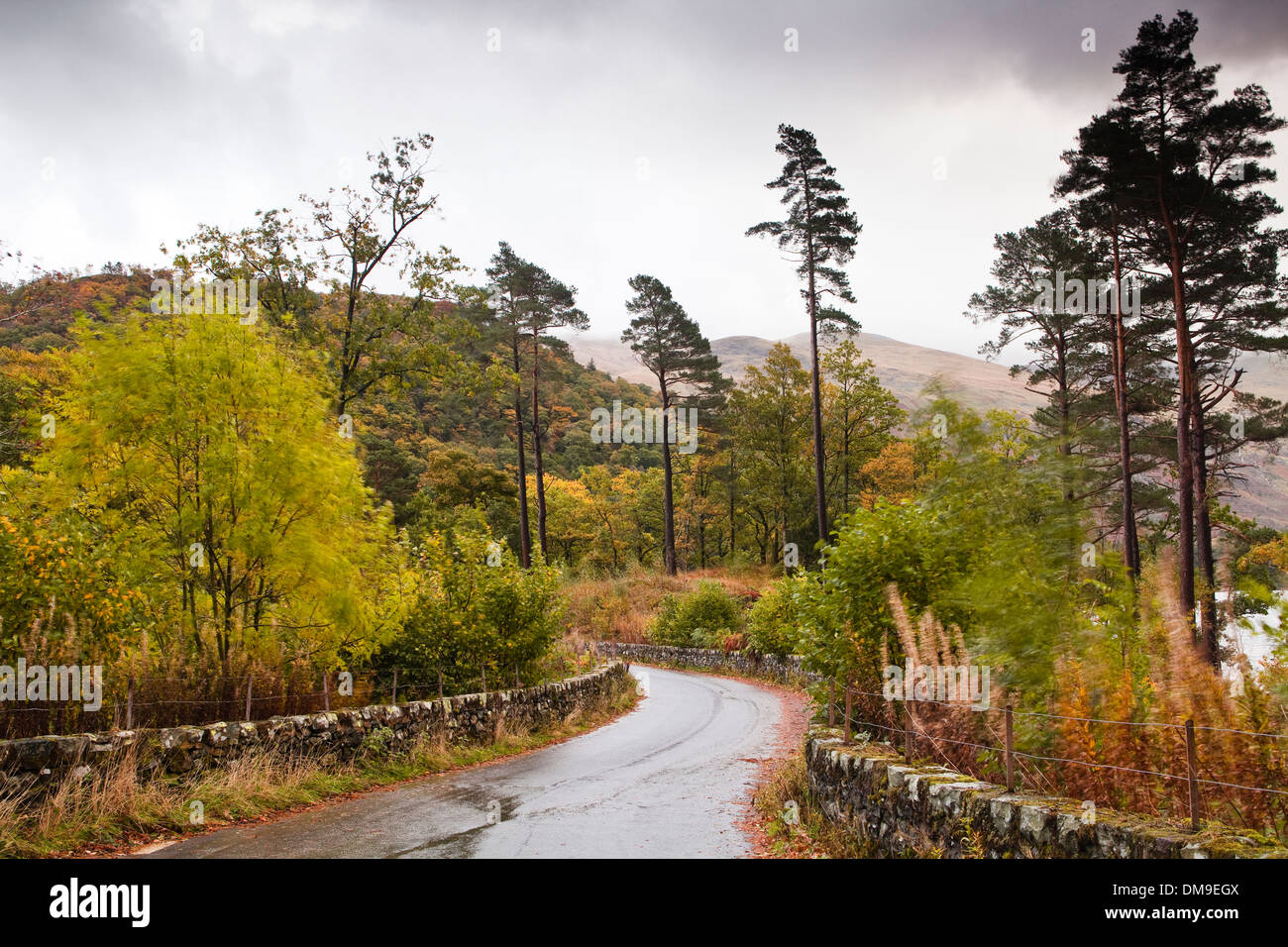 Eine kurvenreiche Straße in der Nähe von Thirlmere in den Lake District National Park. Stockfoto