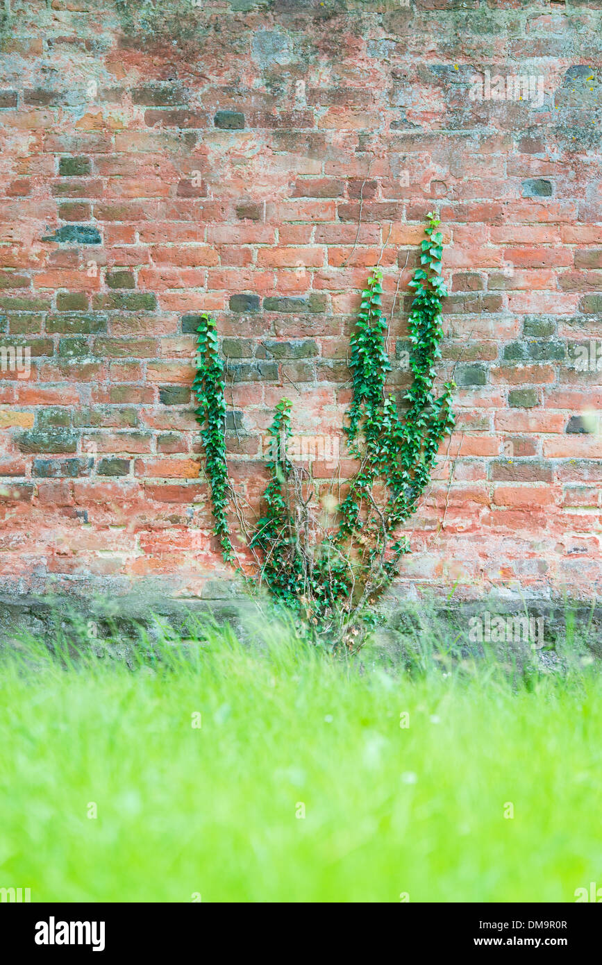 Alte Mauer und grünen Rasen im Park, Schweden Stockfoto