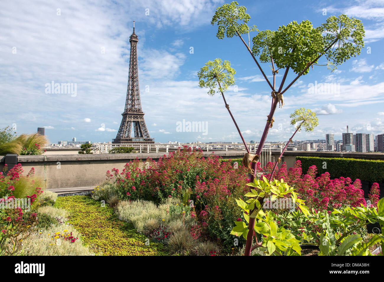 GEMÜSEGARTEN, GARTEN MIT BLICK AUF DEN EIFFELTURM, DIE DACHTERRASSE DER