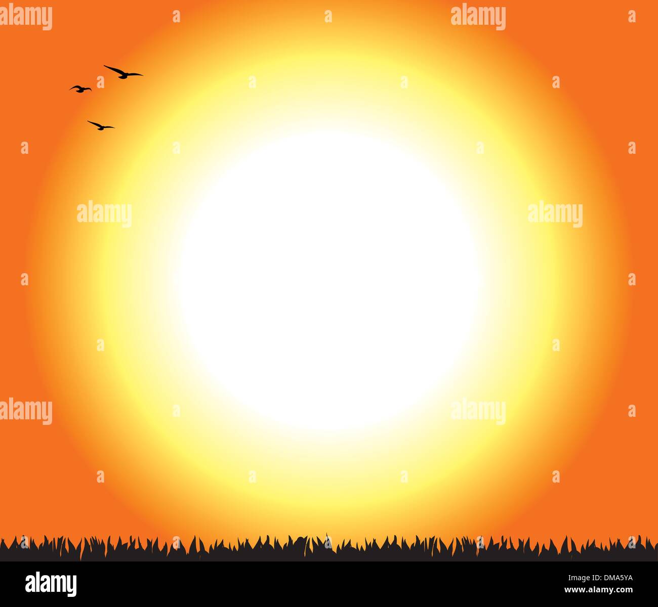 Pferd Aufzucht bei Sonnenuntergang Stock Vektor