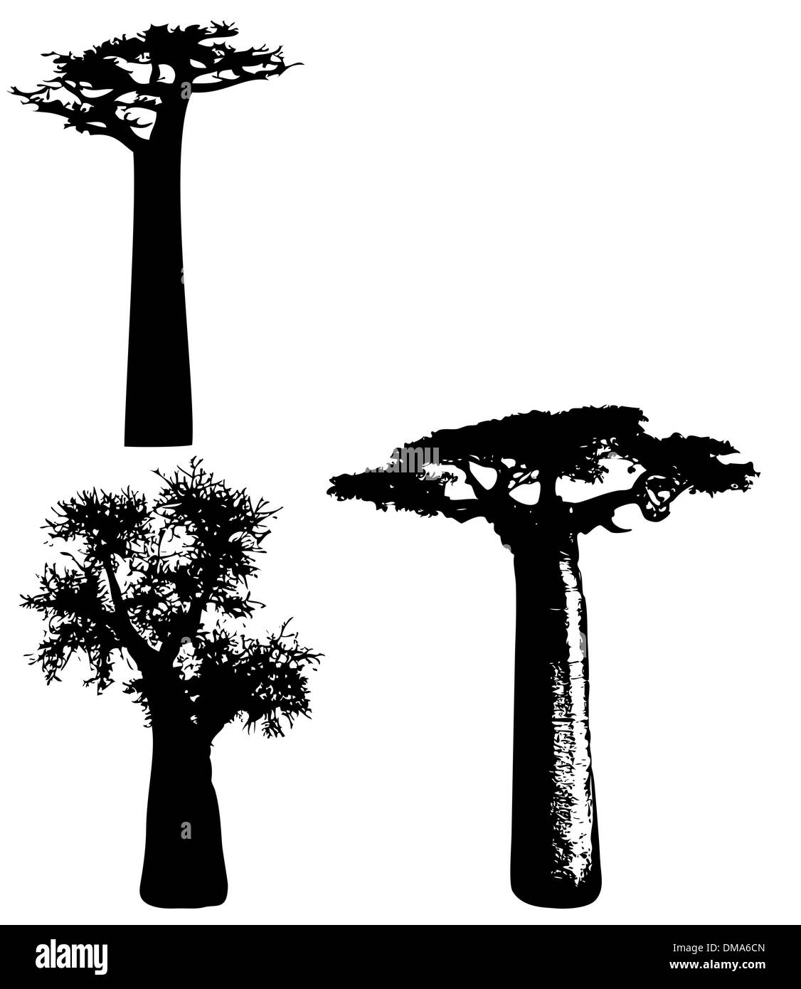 Bäume von Afrika - Vektor Stock Vektor