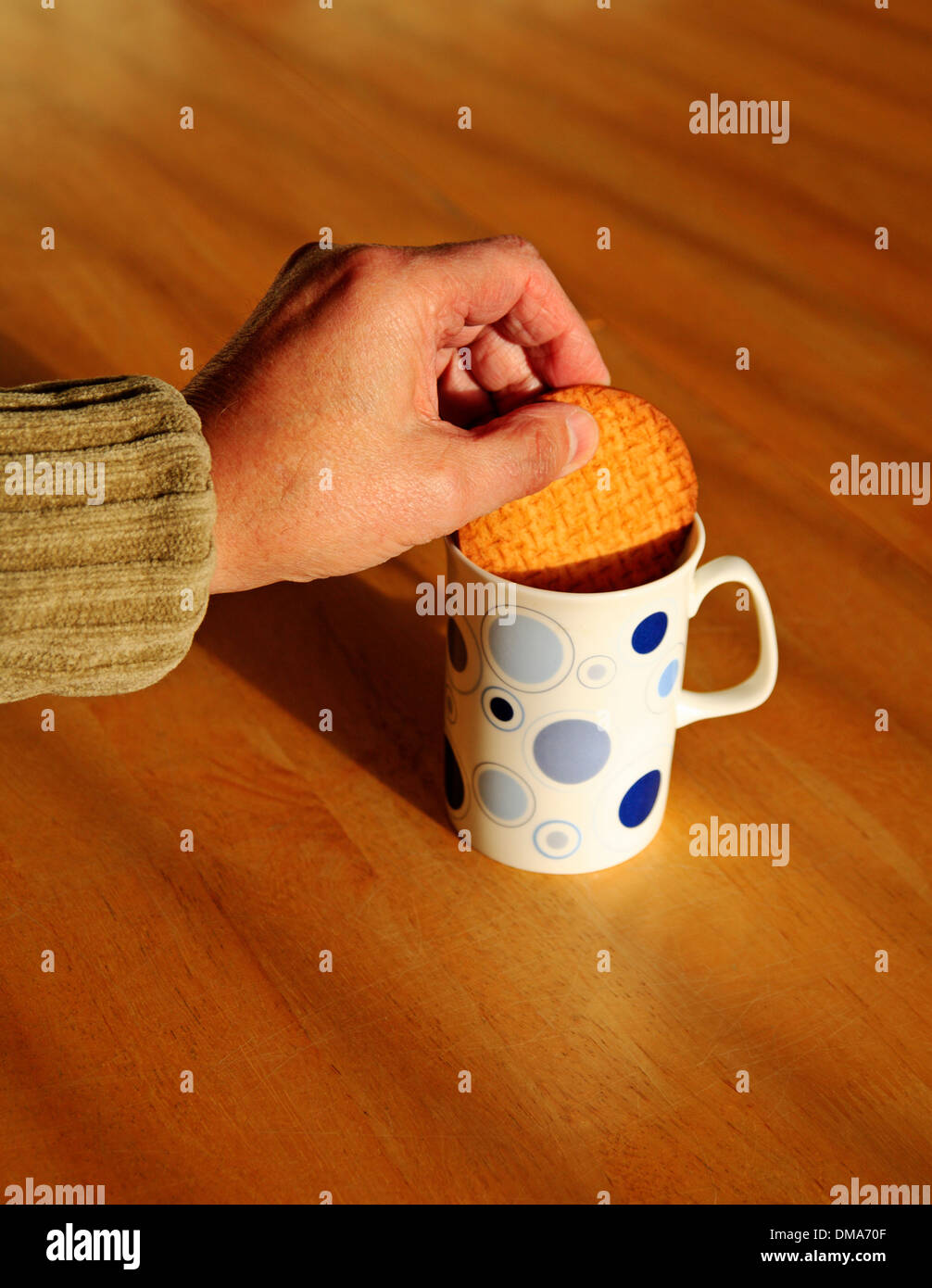 Dunking einen verdauungsfördernden Keks in einer Tasse Tee. Stockfoto