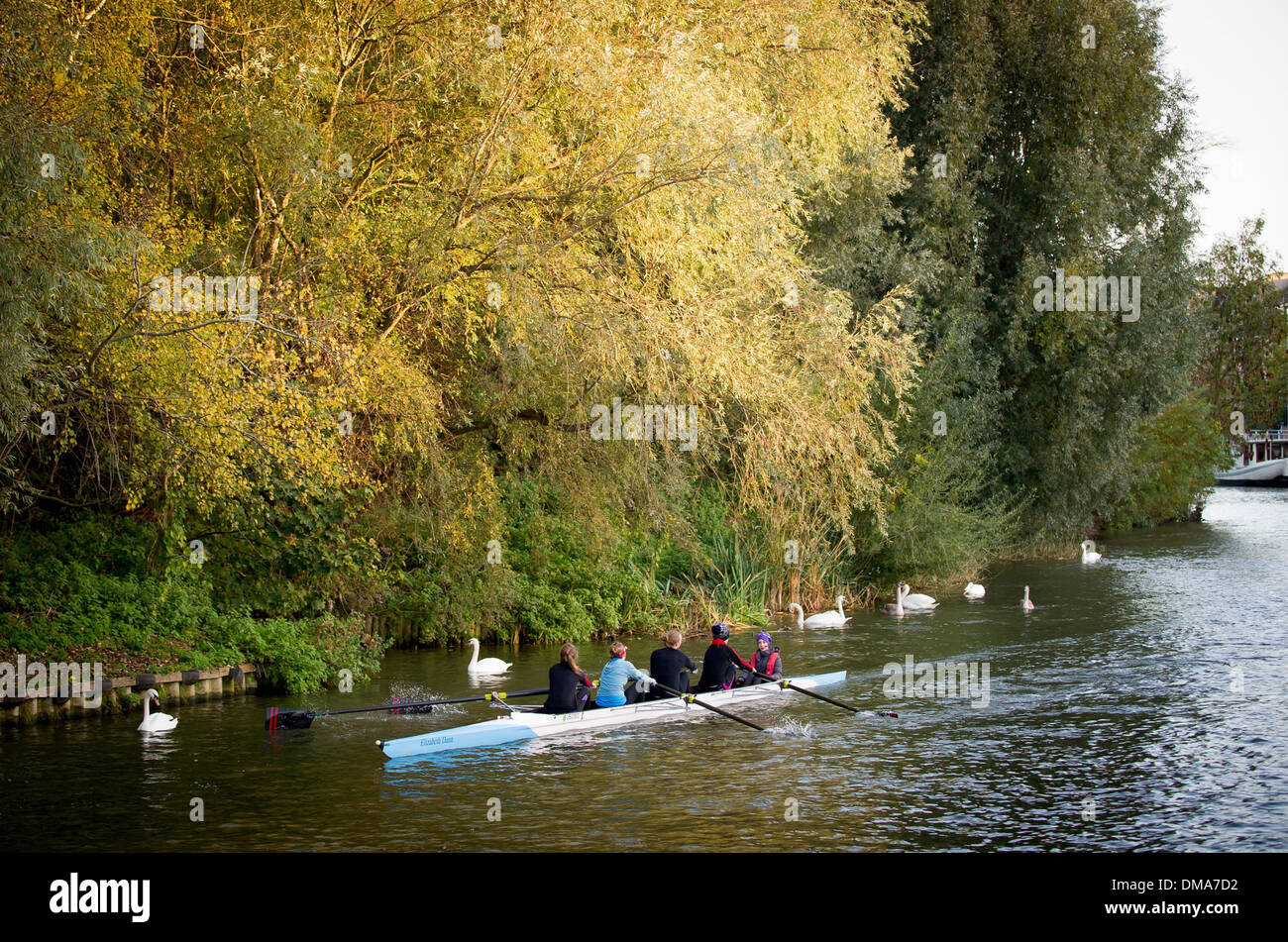 Ruderer auf dem Fluss Cam in Cambridge an einem kalten, aber sonnigen Novembermorgen, 15. November 2013. Stockfoto