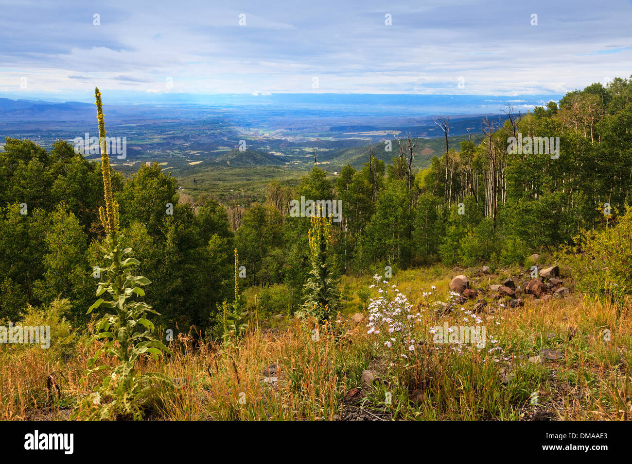 Ansicht Süd vom Grand Mesa National Forest, Delta-Bezirk, Colorado in Richtung Dominguez Canyon Wilderness Area, Kalifornien, USA Stockfoto