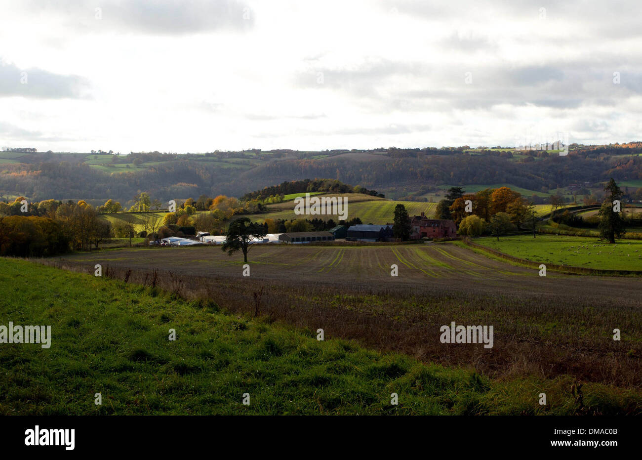 Herbstliche Wetter in Herefordshire, 19. November 2013 Stockfoto