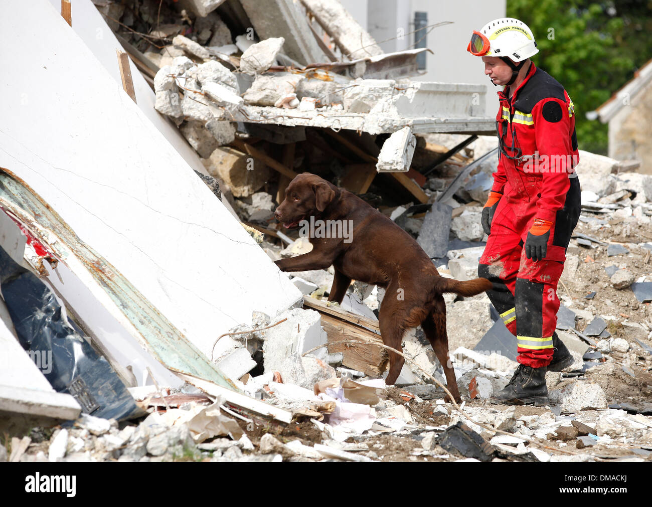 Cher: SDIS 18, Hundegespann in der Cher Abteilung Brandschutz und Rettungsdienst Stockfoto