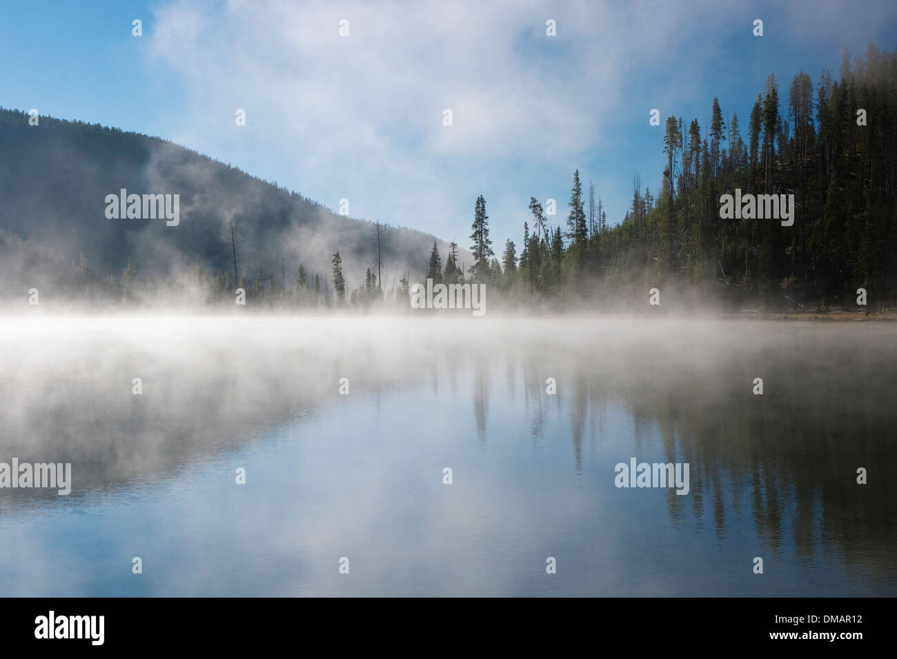 Frühen Morgennebel auf Twin Lakes Yellowstone-Nationalpark, Wyoming. USA LA006779 Stockfoto