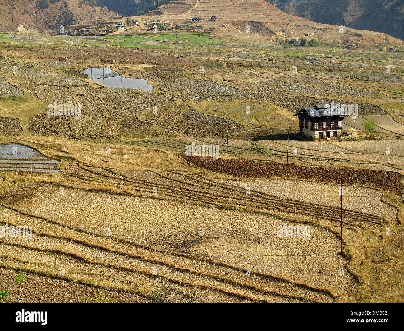 Ein Bauernhaus unter den Schritt Terrassen, Punakha Tal, Bhutan Stockfoto