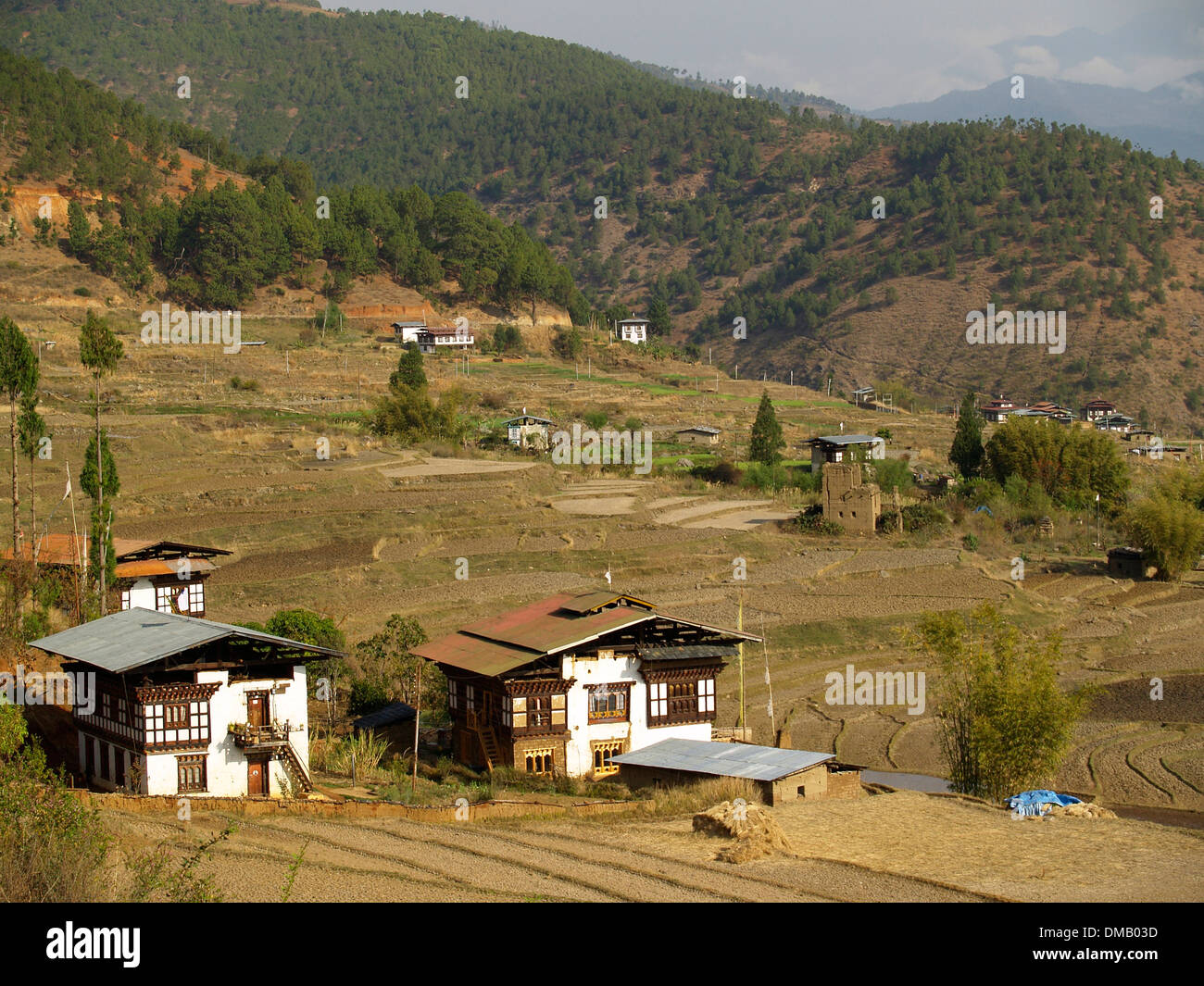 Bauernhöfe in Punakha Tal, Bhutan Stockfoto