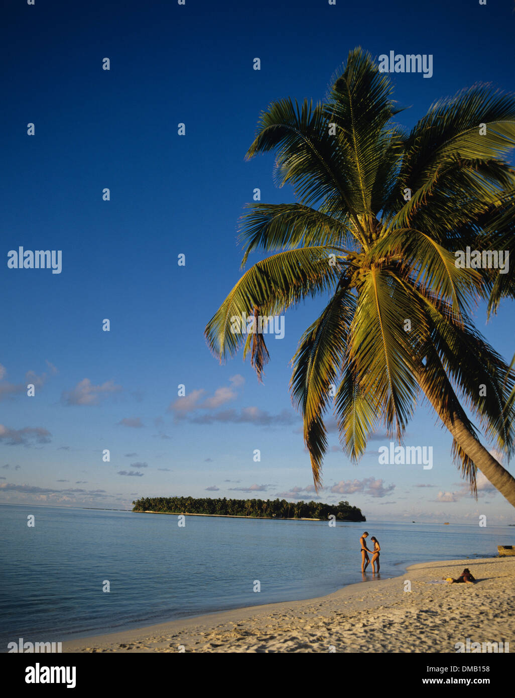 Urlaubsort mit Strand und Palmen Bäume, Malediven Stockfoto