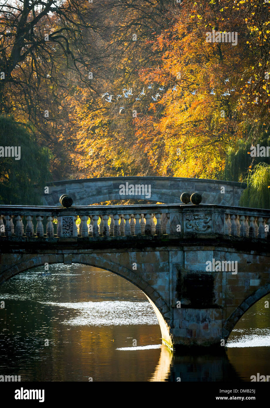 Wunderschönen Herbstfarben in Cambridge Stockfoto