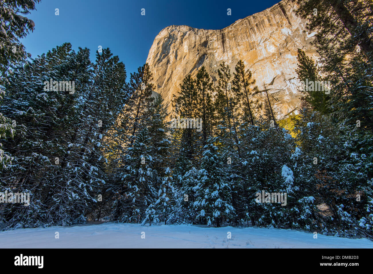 Winterlandschaft mit Berg El Capitan, Yosemite-Nationalpark, Kalifornien, USA Stockfoto