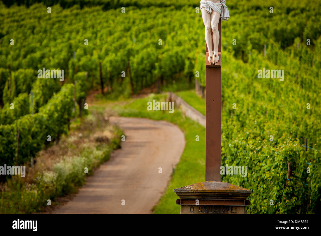 Kruzifix stehen über die Weinberge des Grand Cru in der Nähe von Kaysersberg, Elsass Haut-Rhin, Frankreich Stockfoto