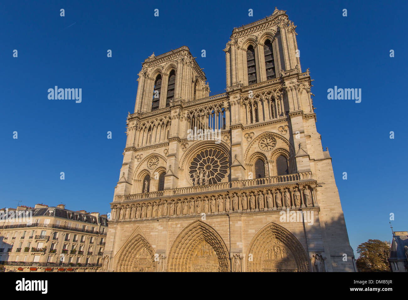 KATHEDRALE NOTRE-DAME DE PARIS BEFINDET SICH AUF DER ILE DE LA CITÉ IM HISTORISCHEN ZENTRUM VON PARIS, DIE KATHEDRALE IST DIE MEISTBESUCHTE WEBSITE IN FRANKREICH, 4. ARRONDISSEMENT, PARIS (75), FRANKREICH Stockfoto