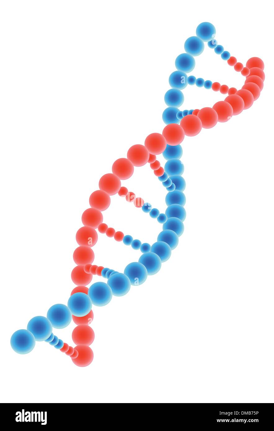 DNA-Modell auf weißem Hintergrund Stock Vektor