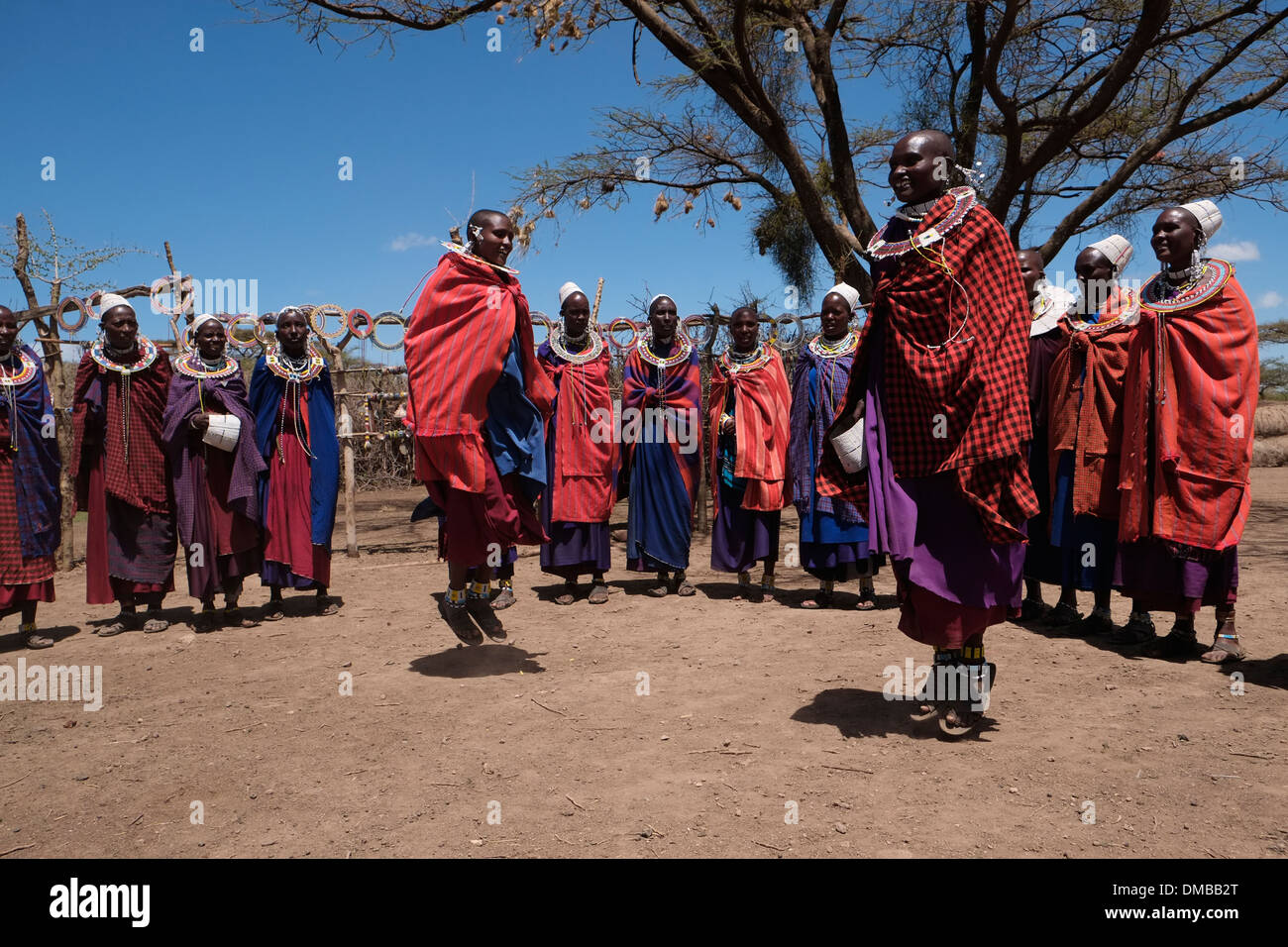 Eine Gruppe von Massai Frauen in ihren spektakulären Kostümen tanzen während der traditionellen Eunoto ceremony in einem kommenden alt Zeremonie für junge Krieger in der Masai Stamm in der Ngorongoro Conservation Area im Krater im Hochland von Tansania Ostafrika durchgeführt Stockfoto