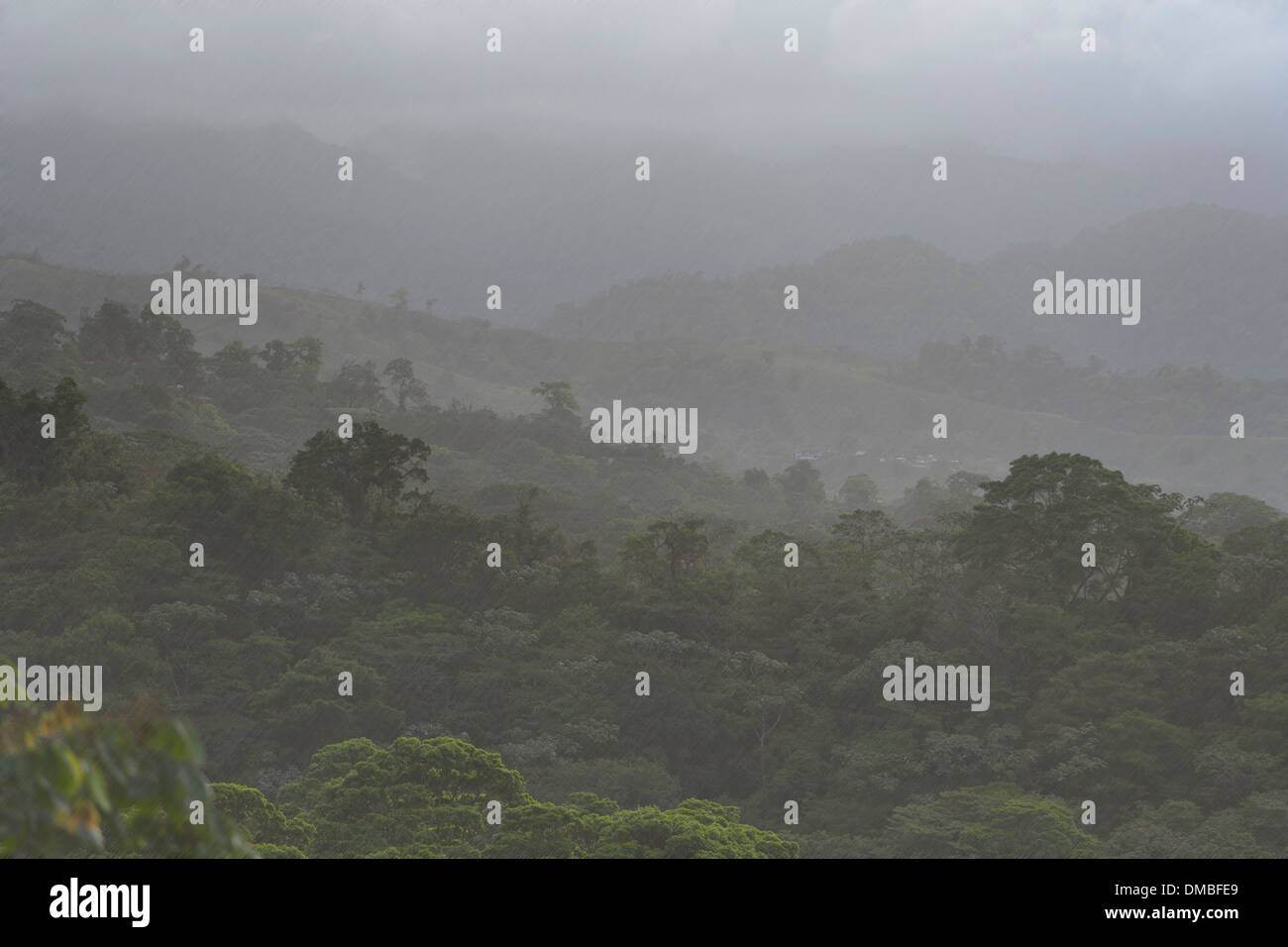 Regen fällt in einem Costa Ricas Regenwald in der Nähe von Arenal-See. Stockfoto