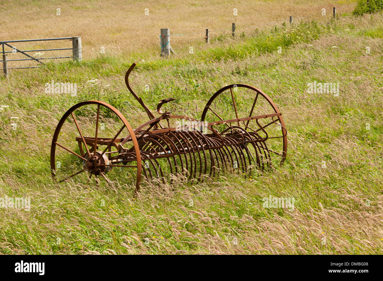 Eine verlassene rostenden Vintage landwirtschaftliche Heu Rechen Stockfoto