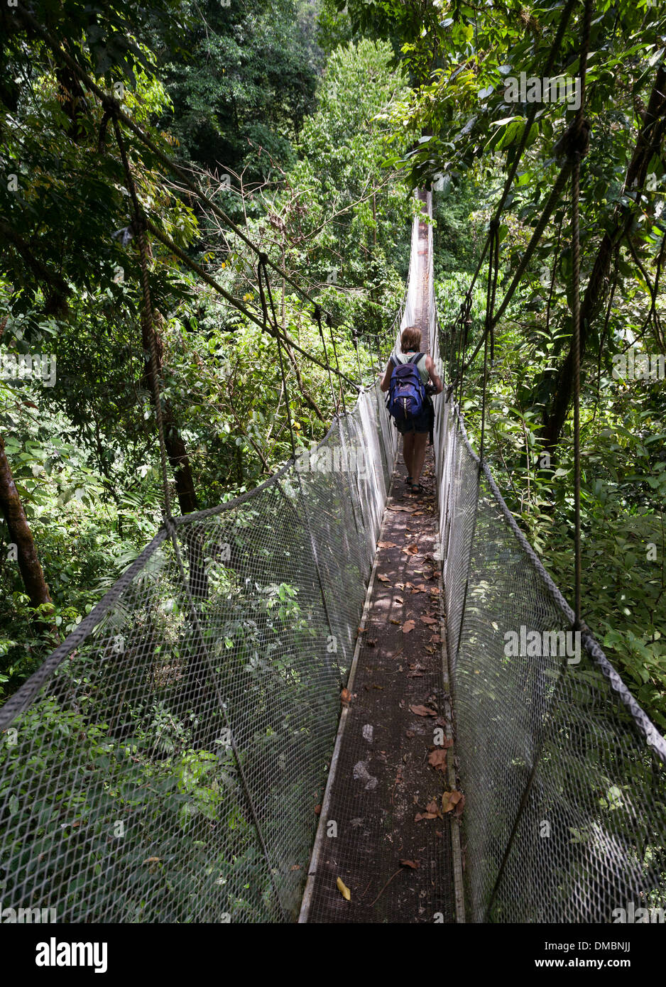 Eine Frau geht entlang einer der suspendierten Gehwege in den Baumkronen in der Regenmacher Conservation Projekt Costa Rica. Stockfoto