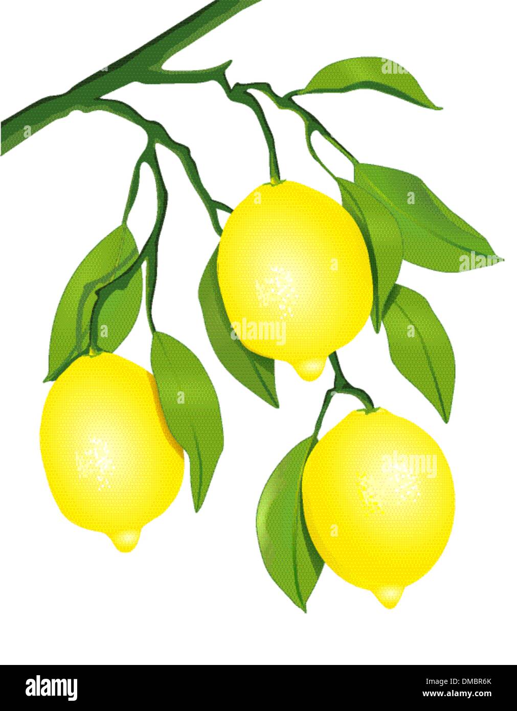 Zitronen am Baum Stock Vektor