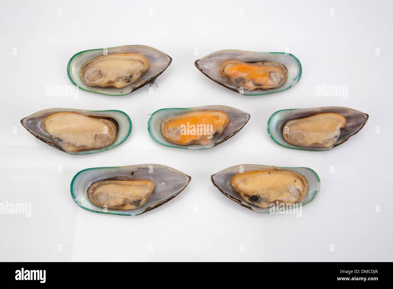 Clam Shell Rohkost ungekochte Meeresfrüchte essen Produkt verkaufen  Restaurants Küche Ernährung Platte Teller Essen kochen Koch Vielzahl Kunst  kaufen Stockfotografie - Alamy