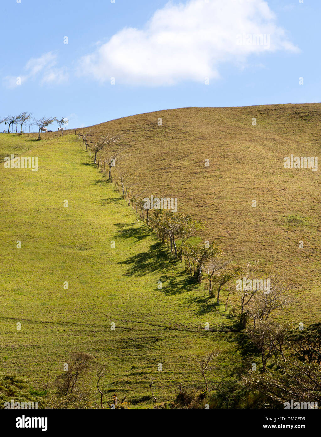 hügeligem Ackerland und Weiden Weide in Costa Rica in der Nähe von San Jose, der Hauptstadt. Stockfoto