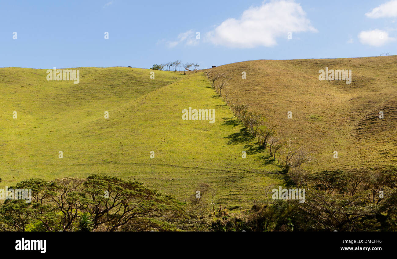 hügeligem Ackerland und Weiden Weide in Costa Rica in der Nähe von San Jose, der Hauptstadt. Stockfoto