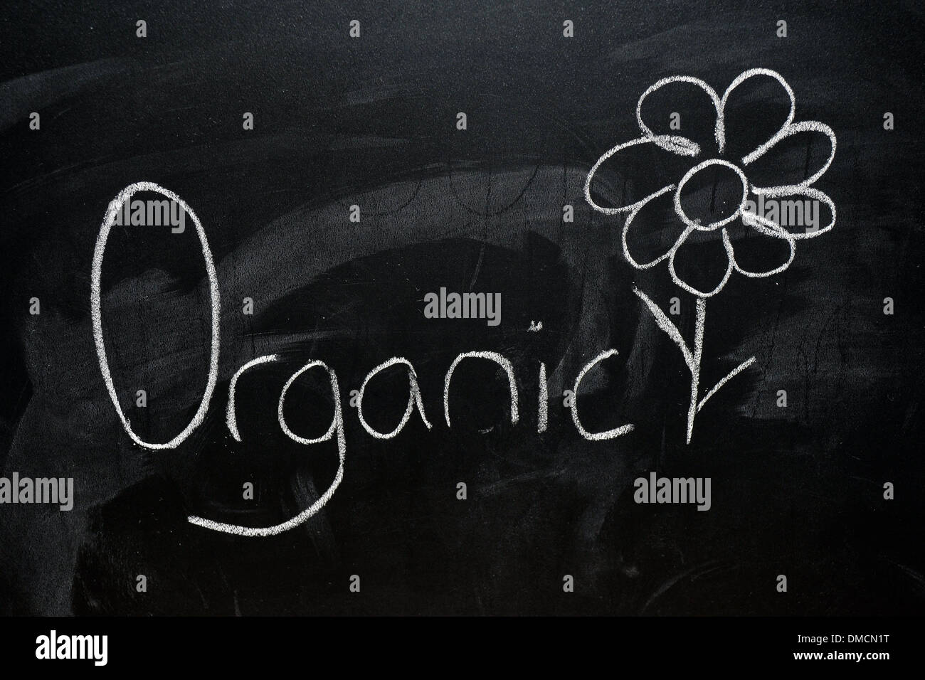 Organische und eine gesunde Pflanze, die in weißer Kreide auf eine Tafel gezeichnet. Stockfoto
