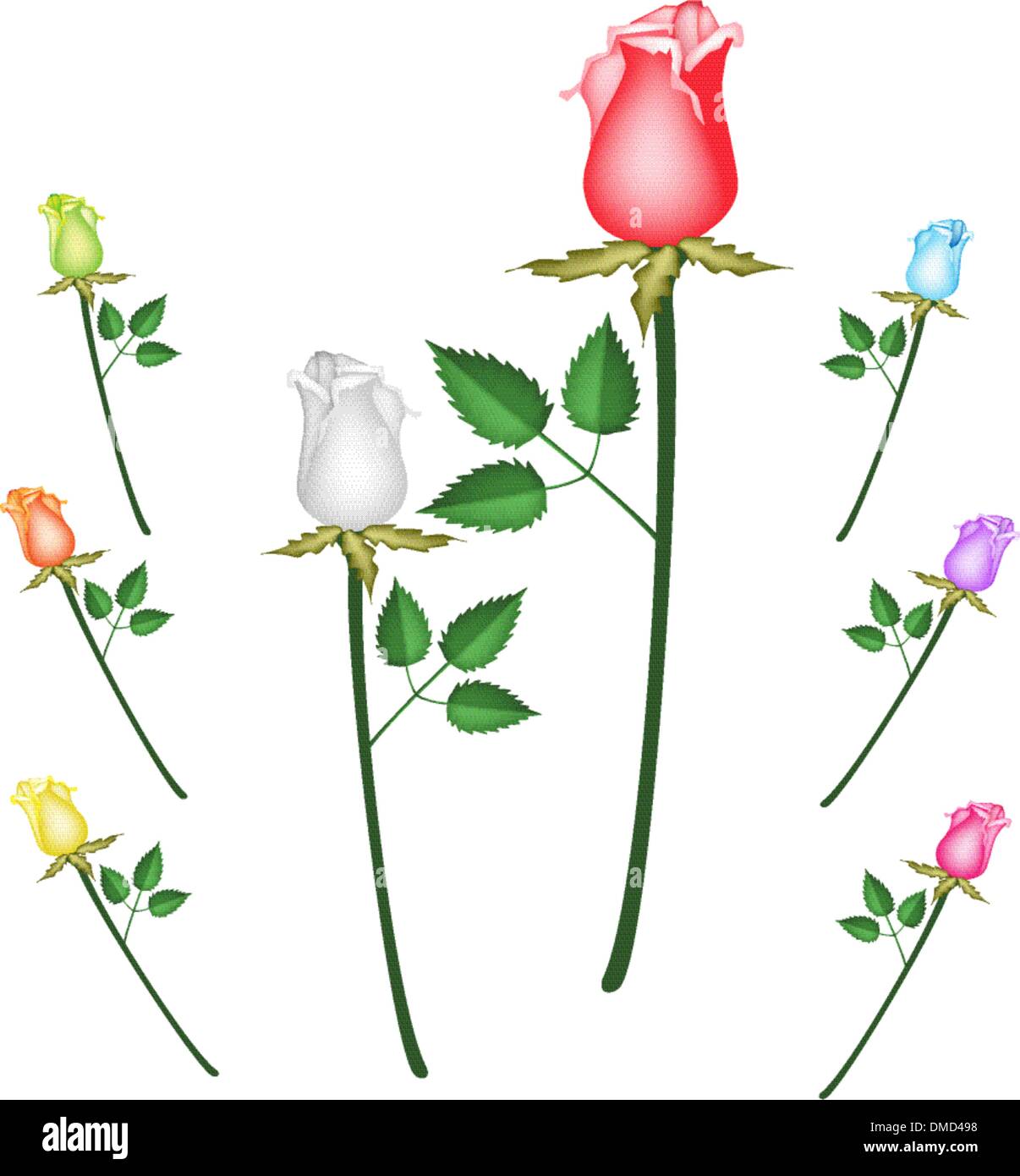 Eine Illustration-Set der perfekte Rose Blumen Stock Vektor