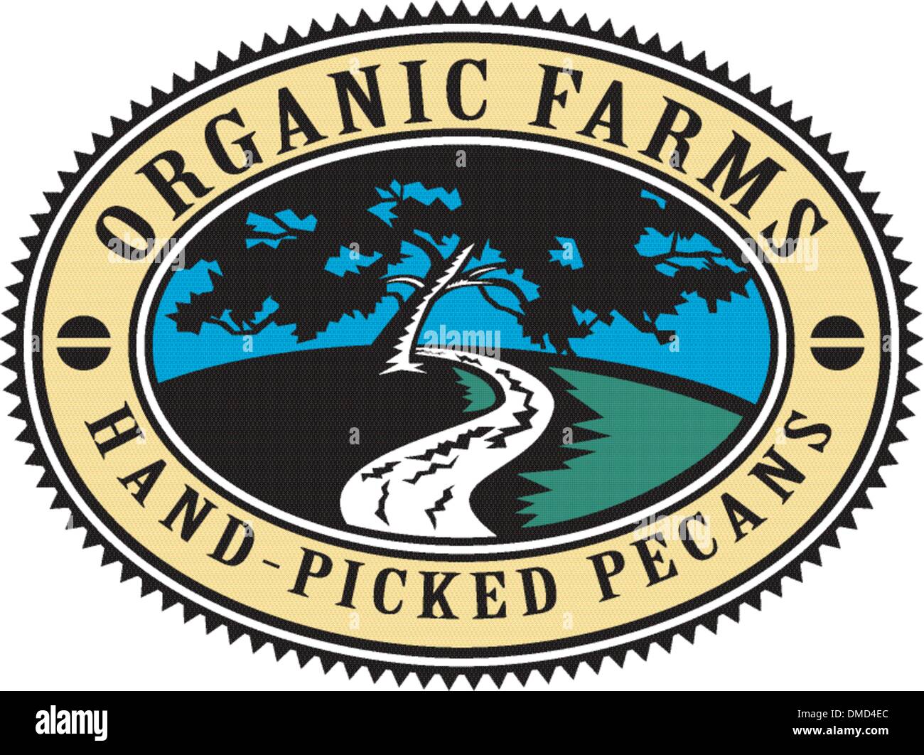 Pecan Baum Wicklung Fluss Sunrise Retro Stock Vektor