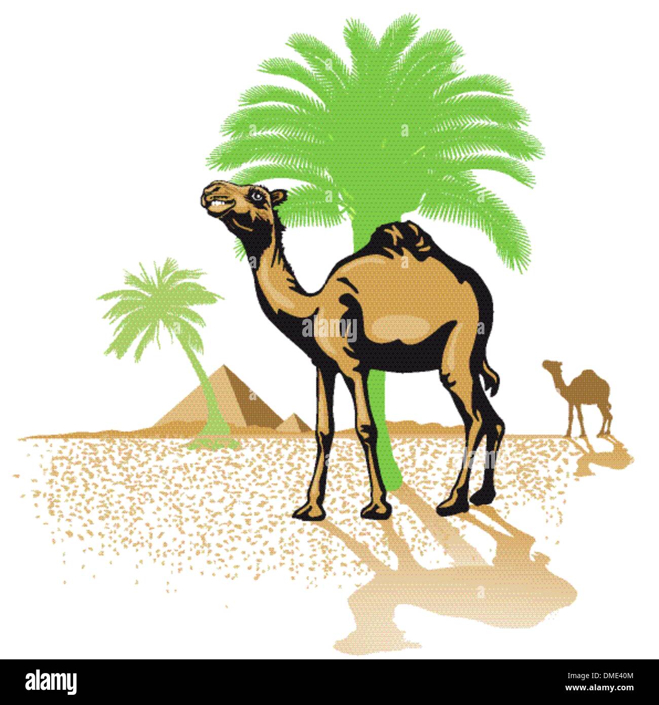 Kamel in der Wüste Stock Vektor