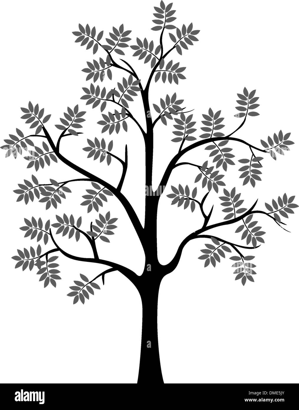 schwarzer Baum Silhouette isoliert Stock Vektor