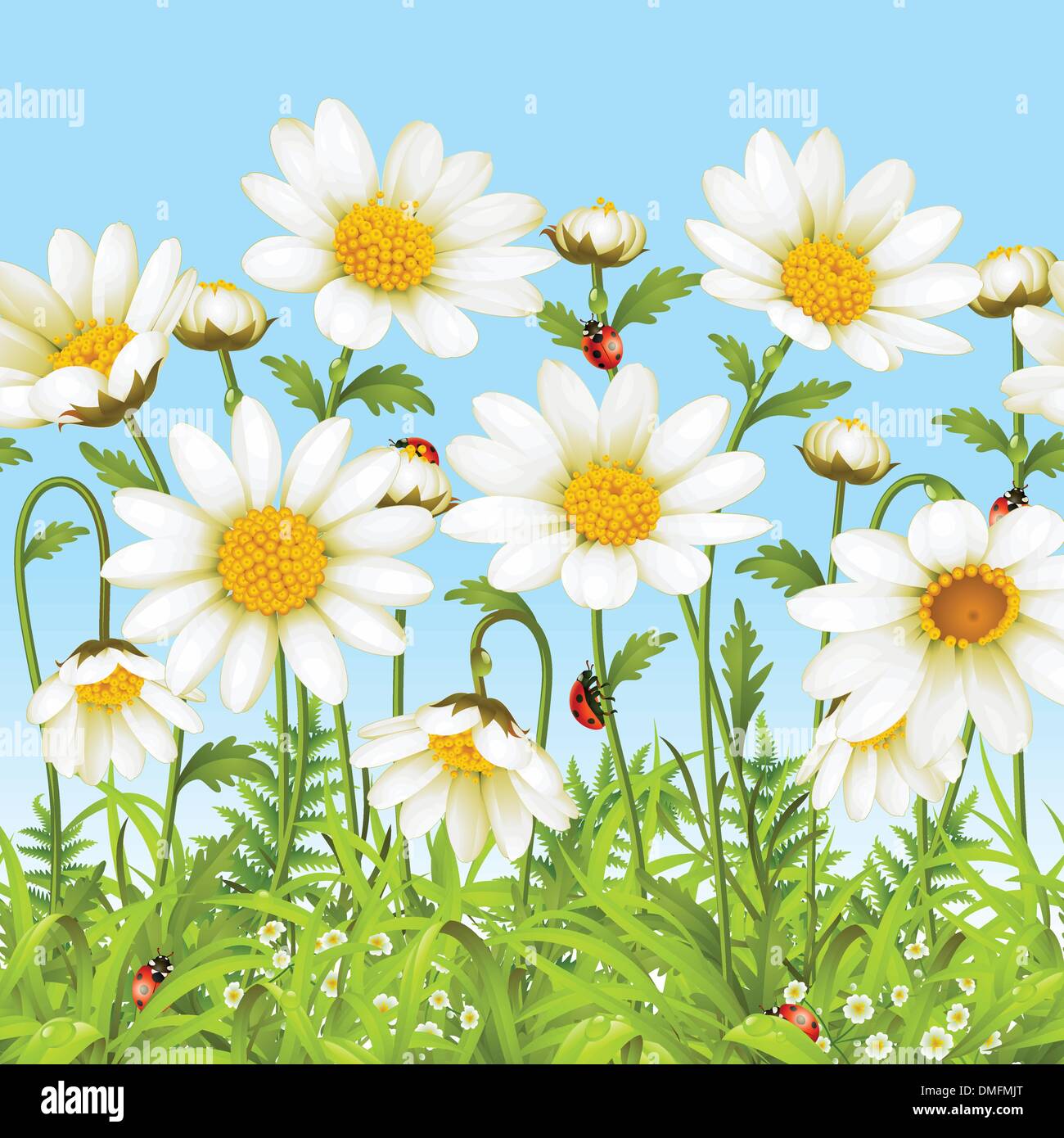 Weiße Blume und grasgrün Stock Vektor