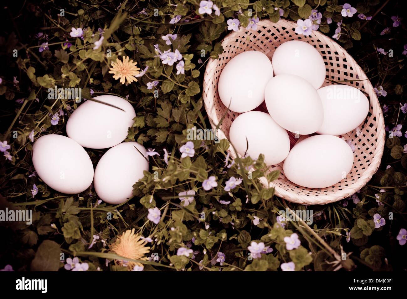 Weißen Eiern auf grünem Rasen und Blumen Stockfoto