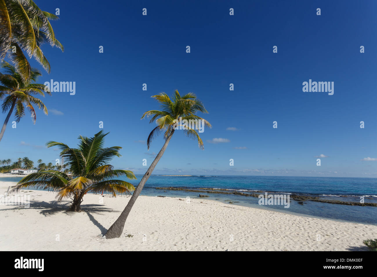 Tropischen weißen Sandstrand und Kokospalmen erstellen Paradise Vacation Resort in Ambergris Caye Stockfoto