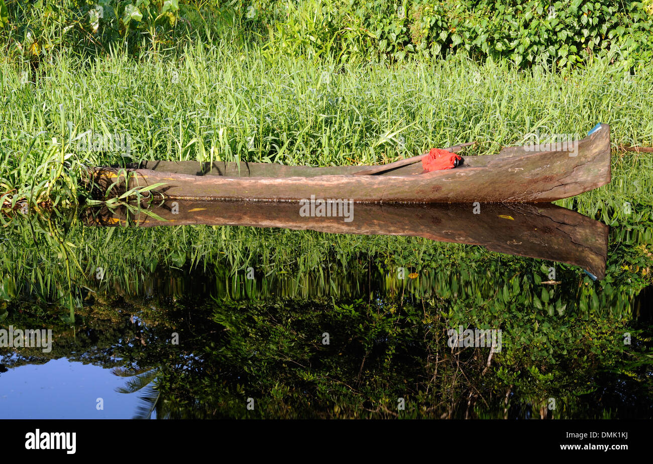Ein ausgegraben Kanu gefesselt im Schilf am Rande eines Kanals in der Nähe von Tortuguero Stockfoto