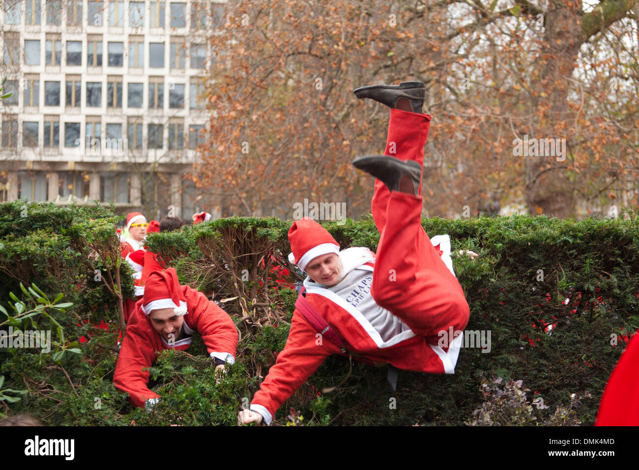 London, UK. 14. Dezember 2013 versuchen Teilnehmer des SantaCon über eine Hecke in Grosvenor Square Gardens außerhalb der US-Botschaft zu springen. Bildnachweis: Nelson Pereira/Alamy Live News Stockfoto