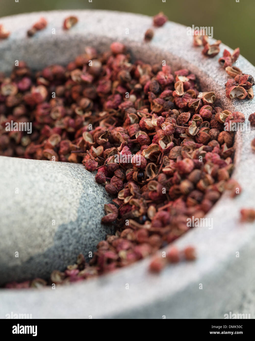 Szechuan-Pfefferkörner - Sichuan Pfeffer-(Xanthoxylum piperitum) Stockfoto