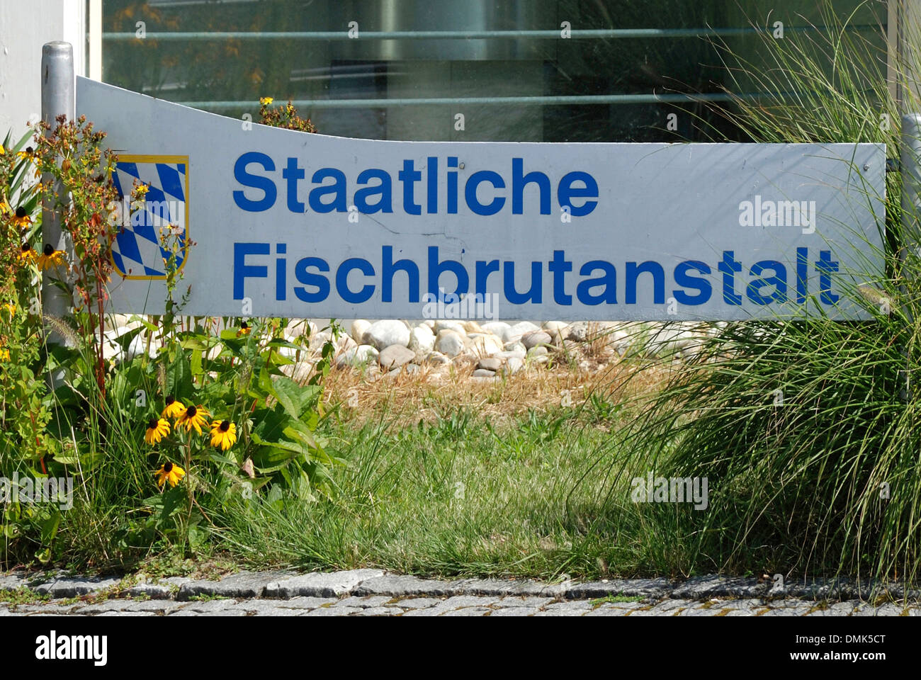 Staatliche Fish Hatchery des Freistaates Bayern in Nonnenhorn am Bodensee. Stockfoto