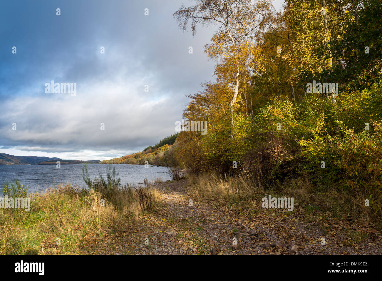 LOCH NESS SCHOTTLAND GESÄUMT VON HERBSTLICHEN BÄUME IN RICHTUNG INVERNESS SUCHEN Stockfoto