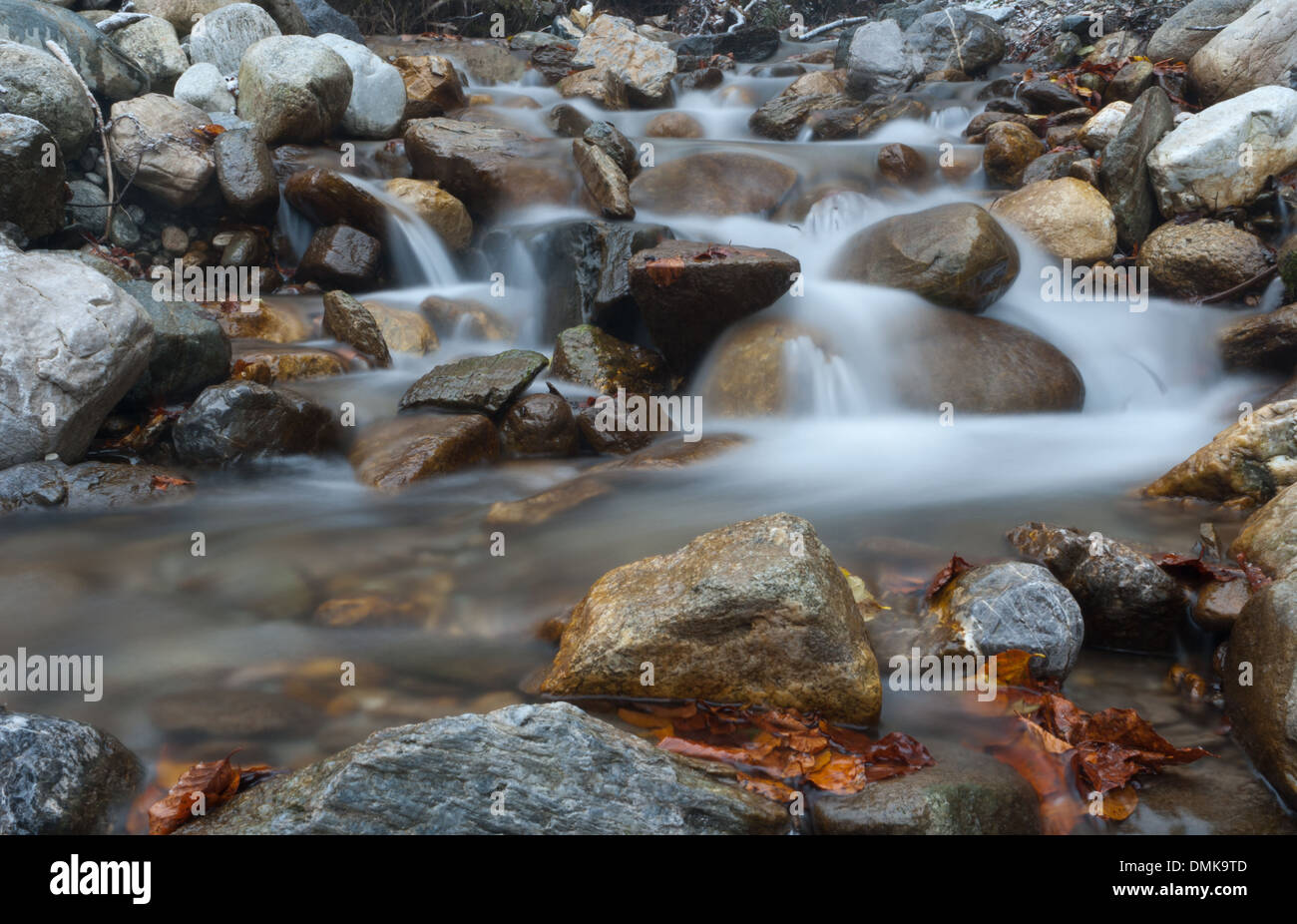 Der Bärenbach fließt zwischen Fritzens und Gnadenwald in Österreich. Im Oberlauf ist er Urschenbach genannt, abgeleitet vom lateinischen Wort „ursus“, was „Bär“ bedeutet. Dieser Fluss ist ein wichtiges Naturmerkmal in der Region und trägt zur lokalen Artenvielfalt und landschaftlichen Schönheit bei. Stockfoto