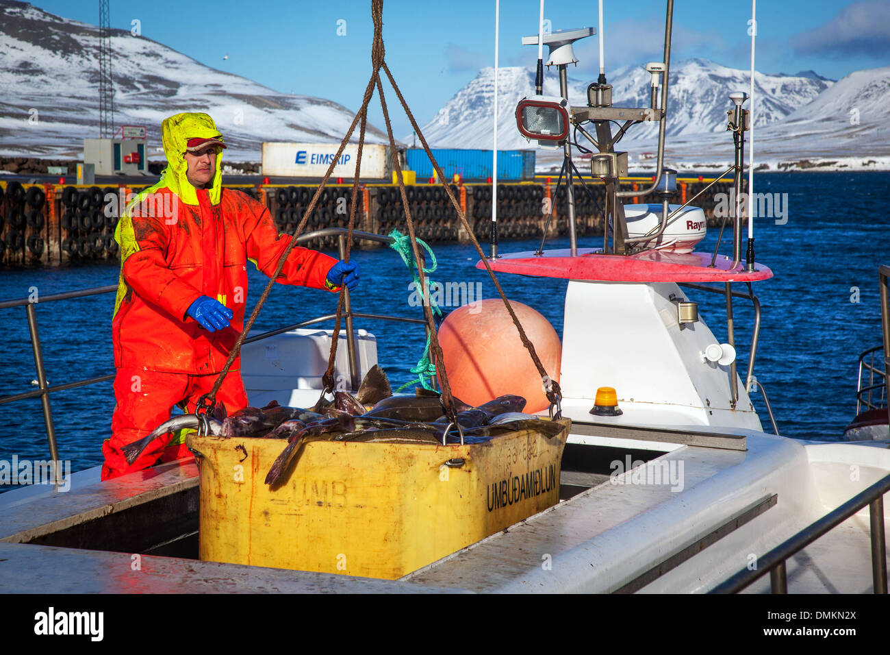 COD-FISCHER, DIE ANKUNFT IM HAFEN VON GRUNDARFJORDUR, SNAEFELLSNES HALBINSEL, WEST-ISLAND, EUROPA Stockfoto