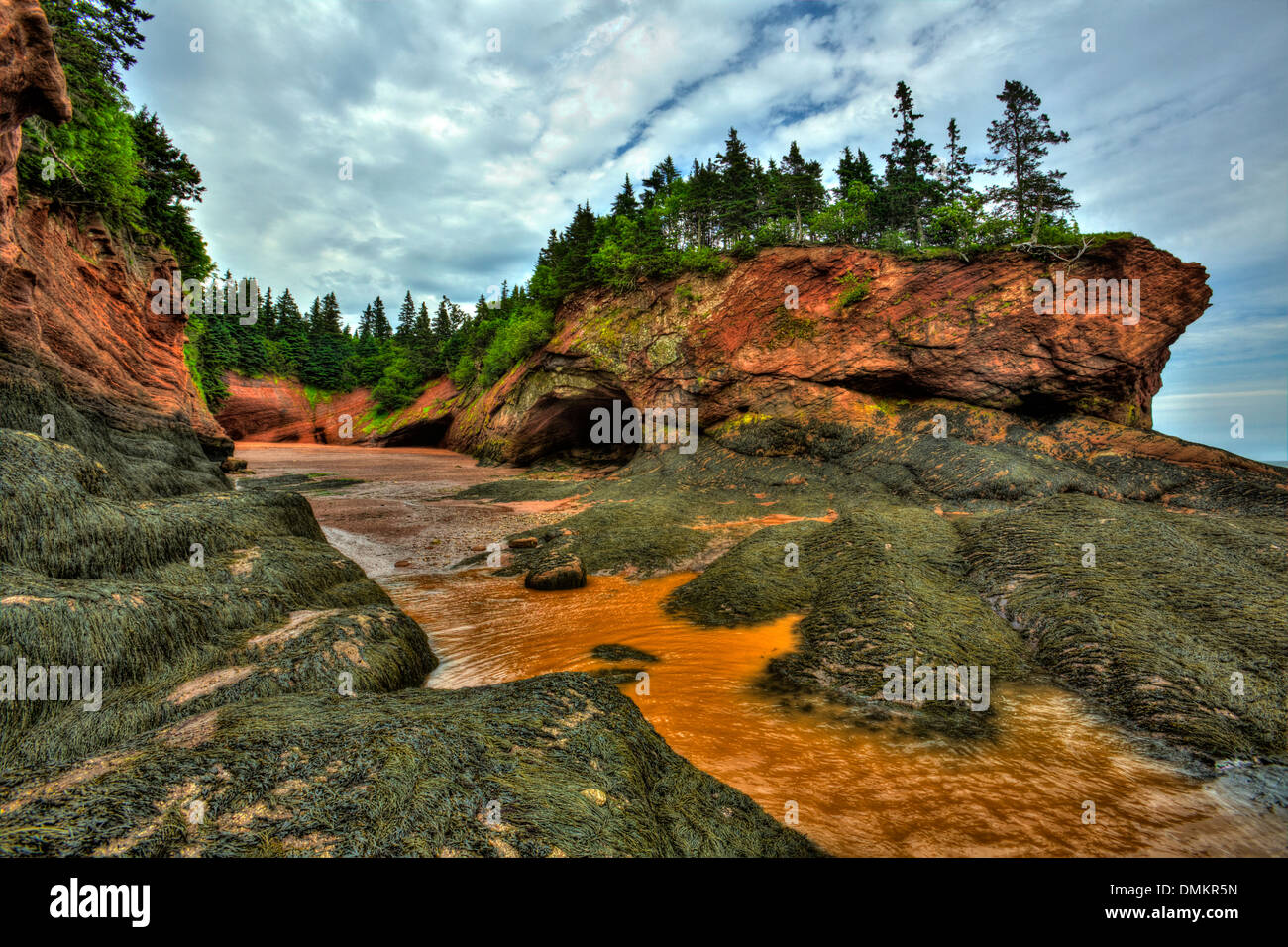 HDR-Bild von Höhlen und Küsten Merkmale an den niedrigen Gezeiten der Bay Of Fundy in St. Martins, New Brunswick, Kanada. Stockfoto