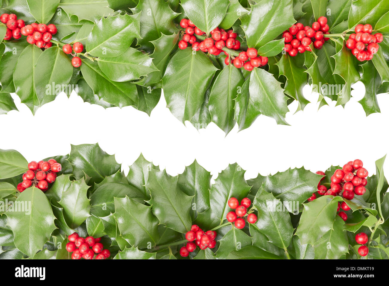 Holly Grenze, Weihnachtsdekoration Stockfoto