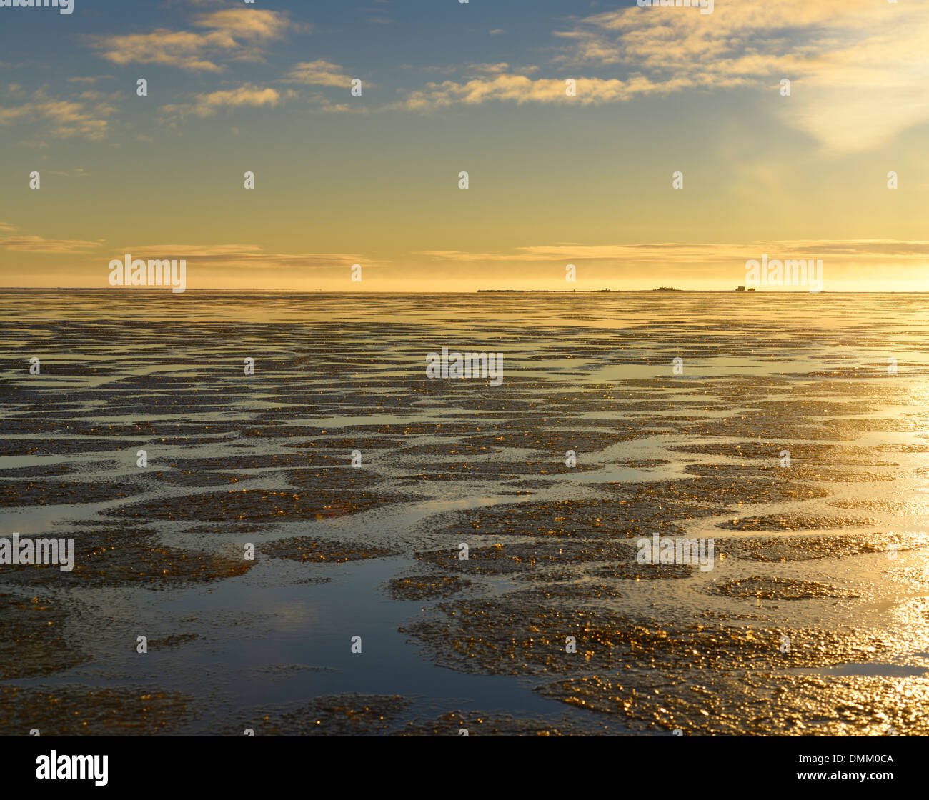 Pad Eisbildung über dem ruhigen Wasser des Polarmeeres Beaufortsee im Tausch Insel Kaktovik Alaska USA bei Sonnenuntergang Stockfoto