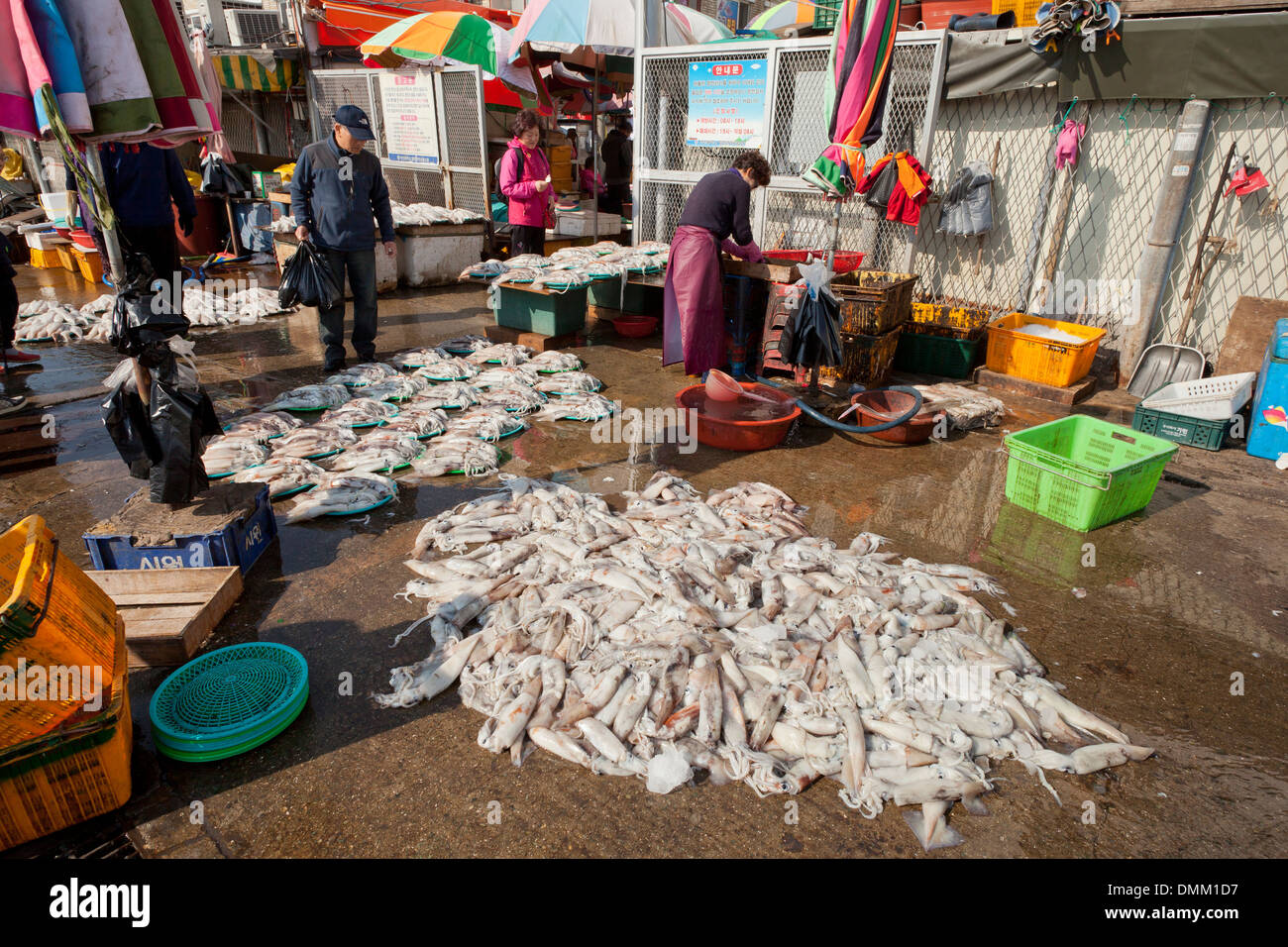 Frischer Tintenfisch Verkäufer am Jagalchi Shijang (traditionelle outdoor-Markt) - Busan, Südkorea Stockfoto