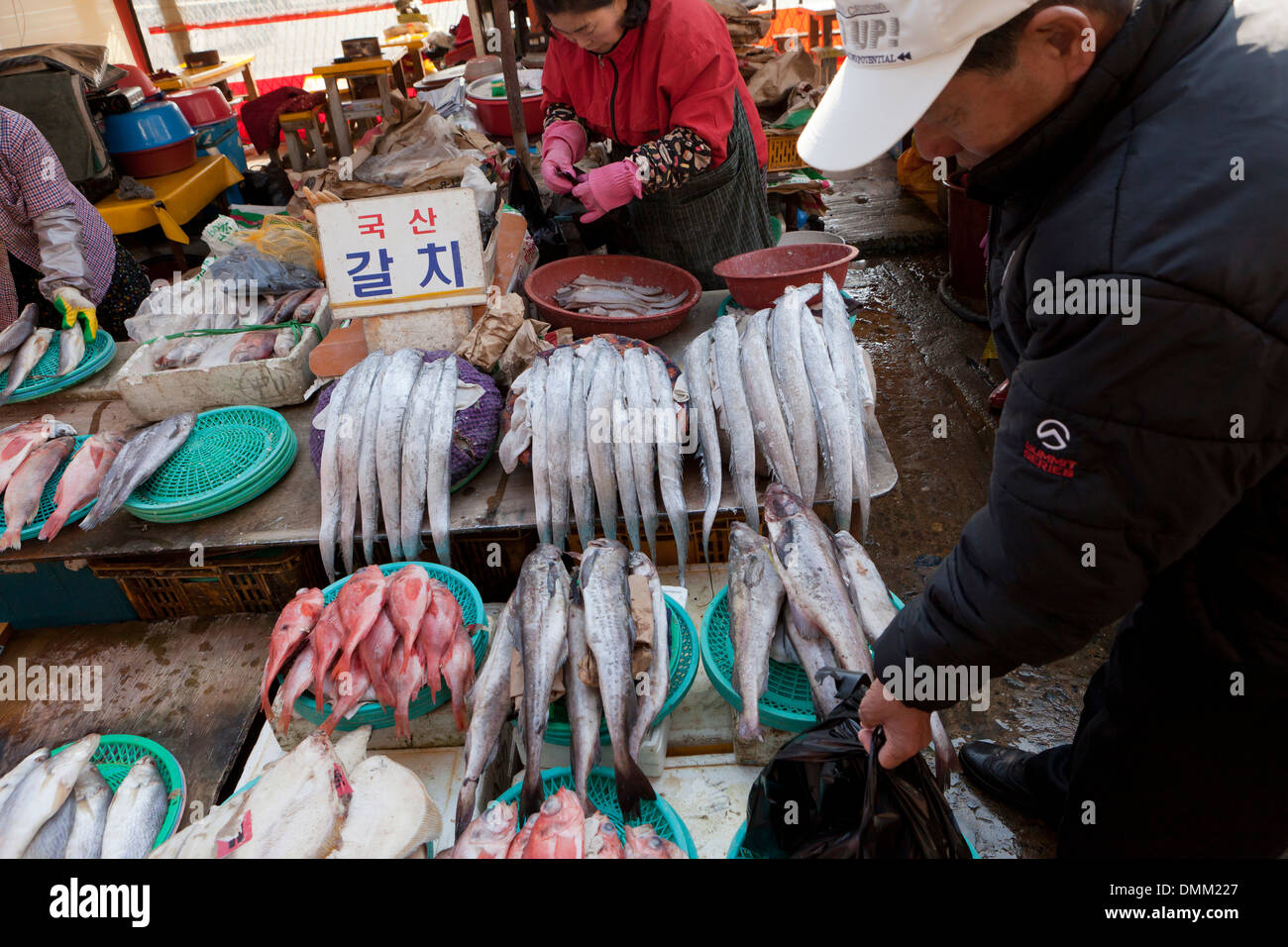 Verschiedene frische Fische stehen auf Shijang (traditionelle outdoor-Markt) - Busan, Südkorea Stockfoto