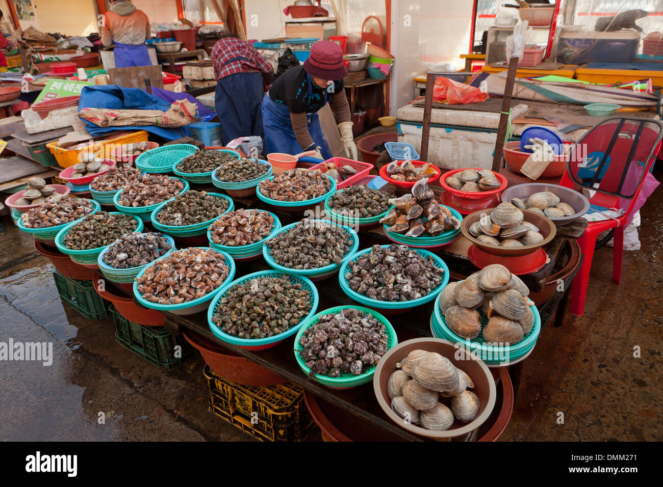 Schalentiere Anbieter am Jagalchi Shijang (traditionelle outdoor-Markt) - Busan, Südkorea Stockfoto