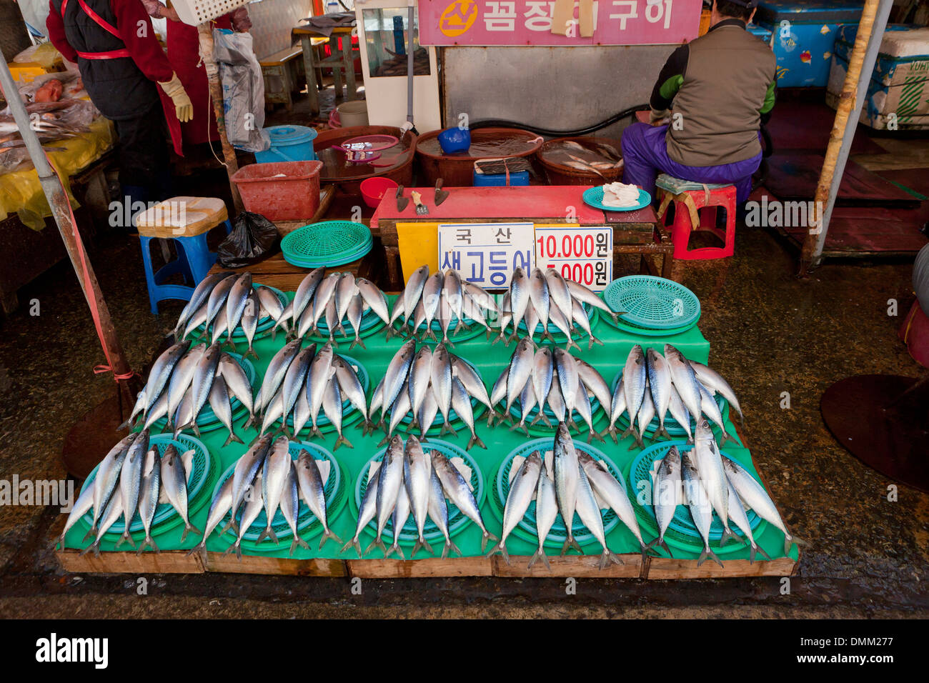 Frische Makrelen Stand auf Shijang (traditionelle outdoor-Markt) - Busan, Südkorea Stockfoto