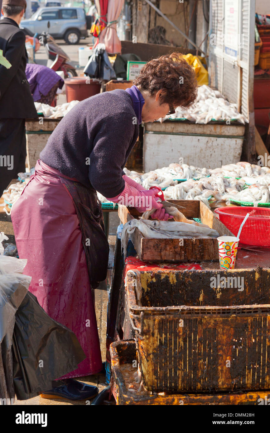 Frau, Reinigung frischen Tintenfisch am Jagalchi Shijang (traditionelle outdoor-Markt) - Busan, Südkorea Stockfoto